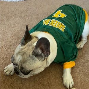 Favre Packers Pet Jersey